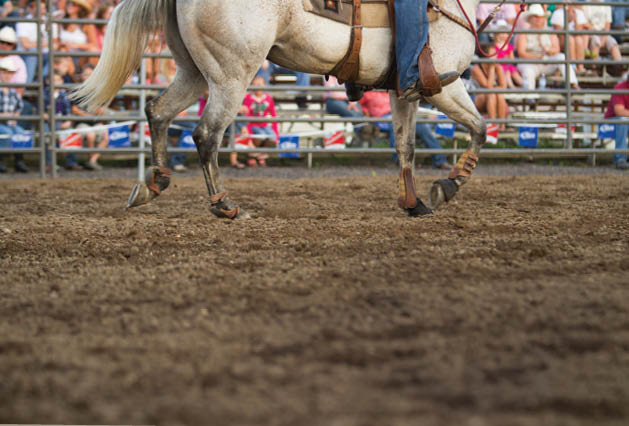 Minnesota’s Largest Rodeo Returns to Celebrate Hamel Spirit