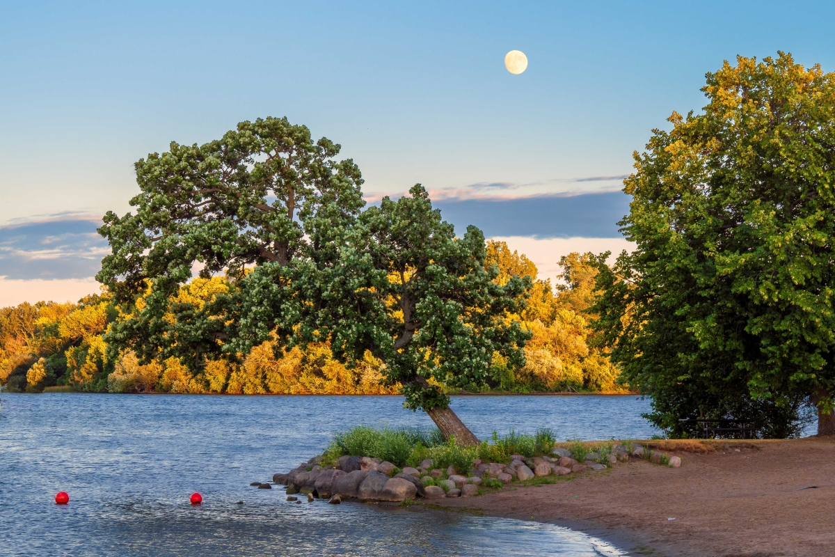 Moonrise in West Medicine Lake Park by Larry Paulson