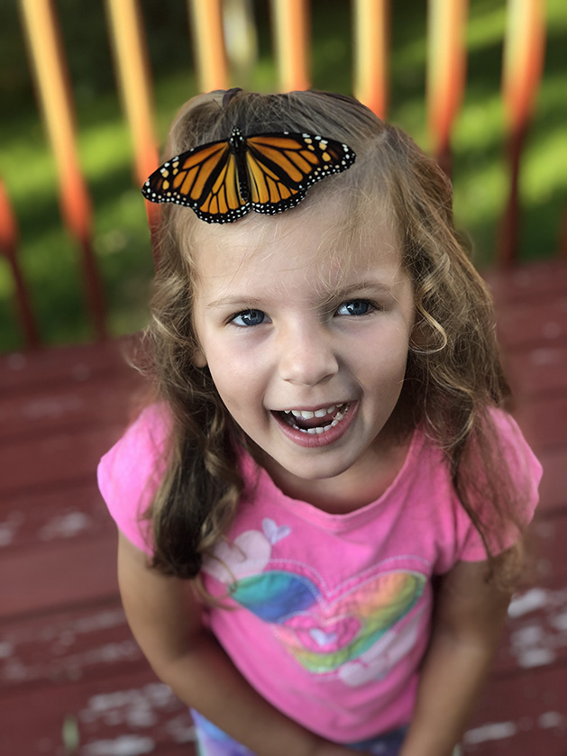 Butterfly Joy! by Katie May
