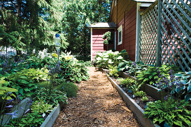 A garden featuring hostas, edibles, astilbe and hydrangeas.