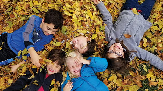 Five children play in a pile of leaves in this Picture Plymouth photo contest winner.