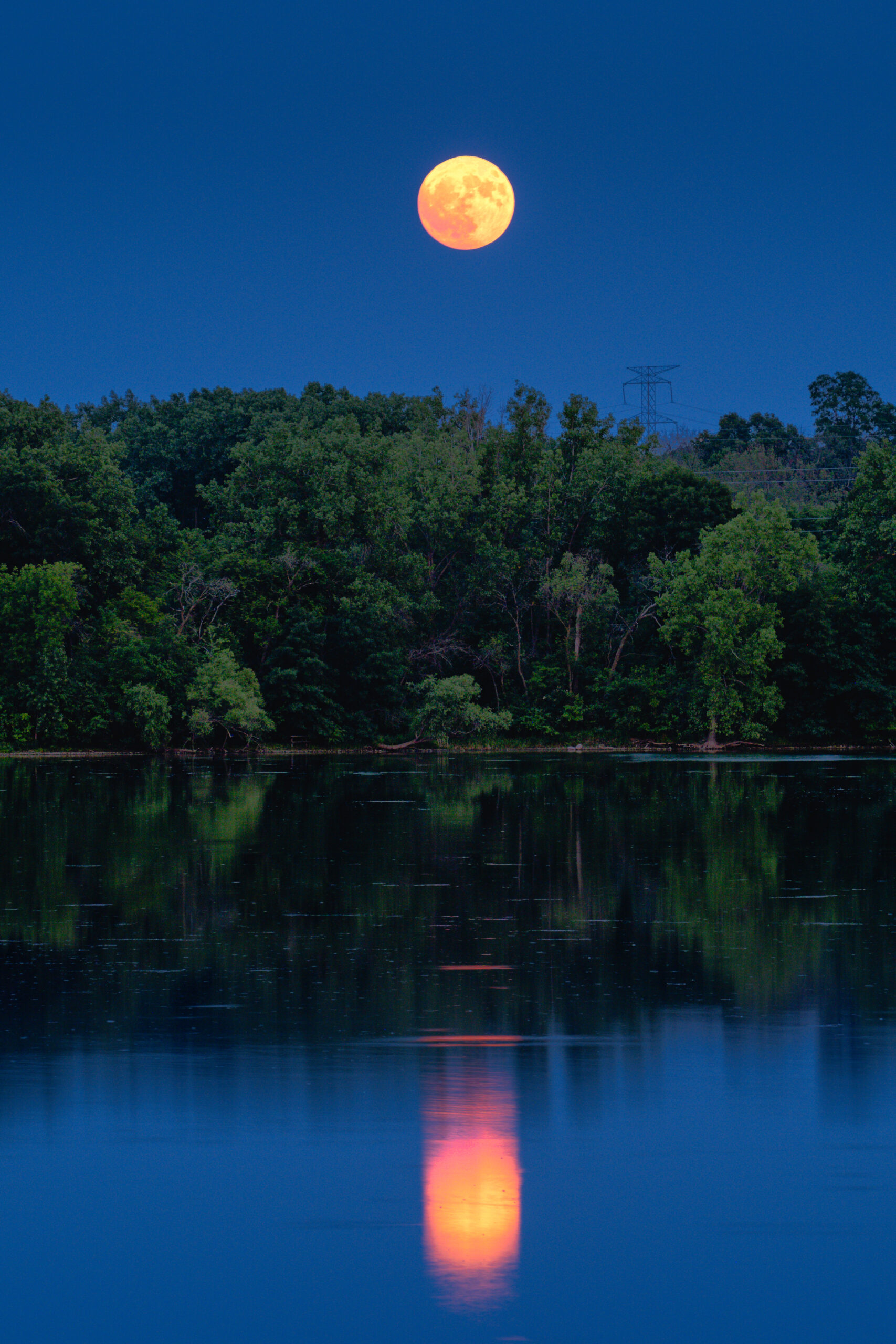 The Buck Moonrise Over Parker's Lake by Larry Paulson