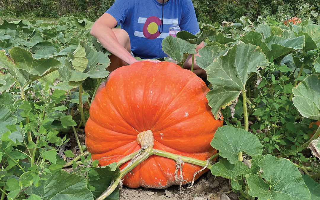 Meet Plymouth’s Pumpkin King