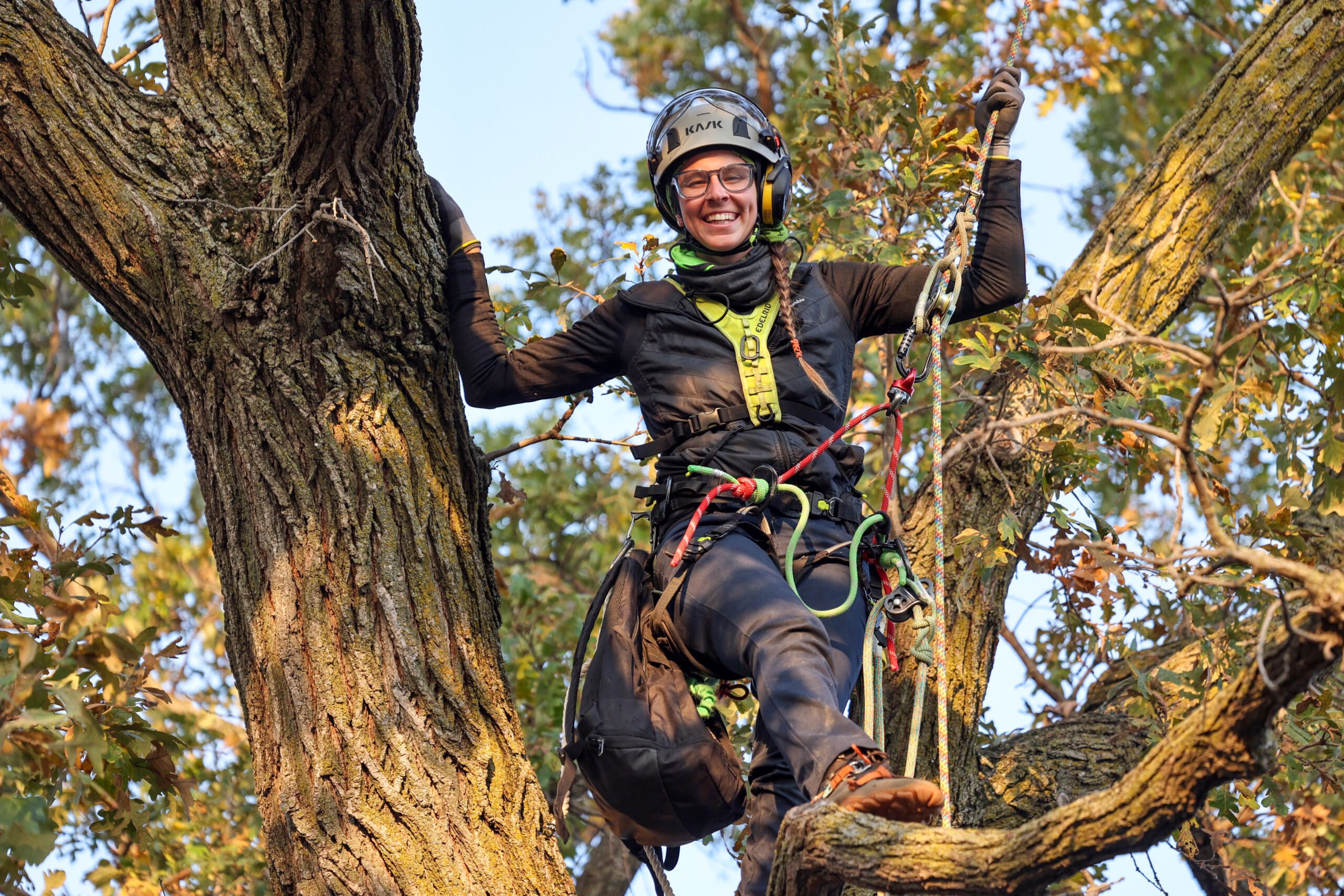 Sydney Hudzinski at the top of a tree.