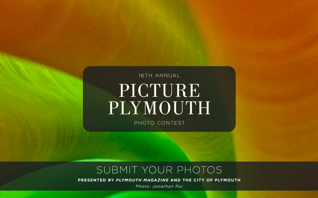 Picture Plymouth 2025 Is Now Open for Submissions
