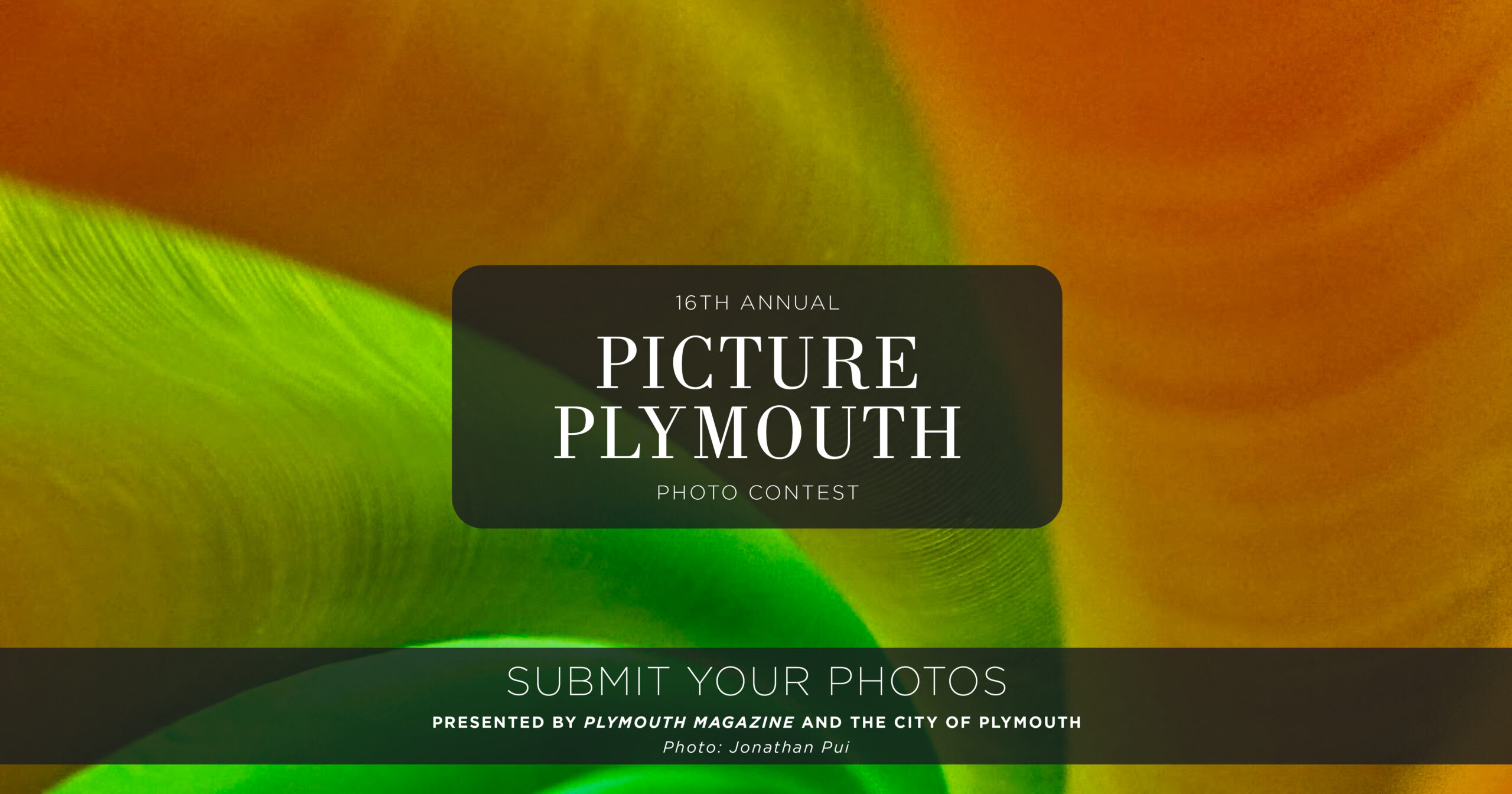 Picture Plymouth Photo Contest Web Banner