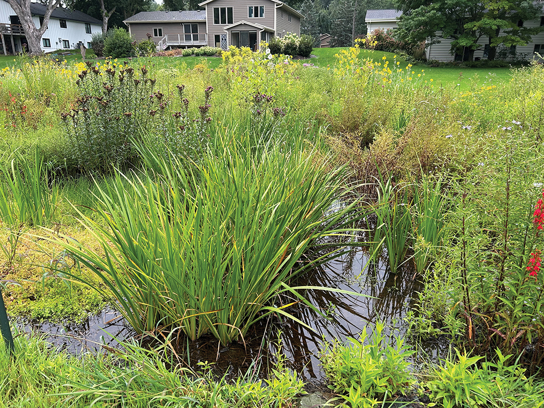 Fazendin Park’s native plant garden.