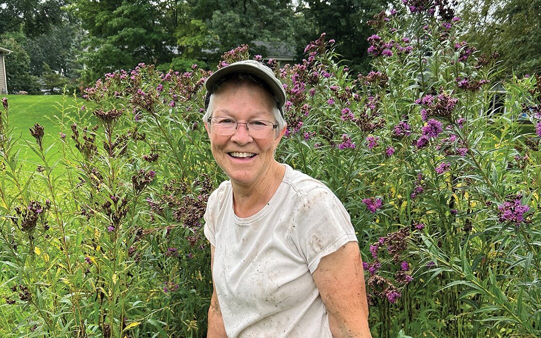Get Involved in Fazendin Park’s Native Plant Garden