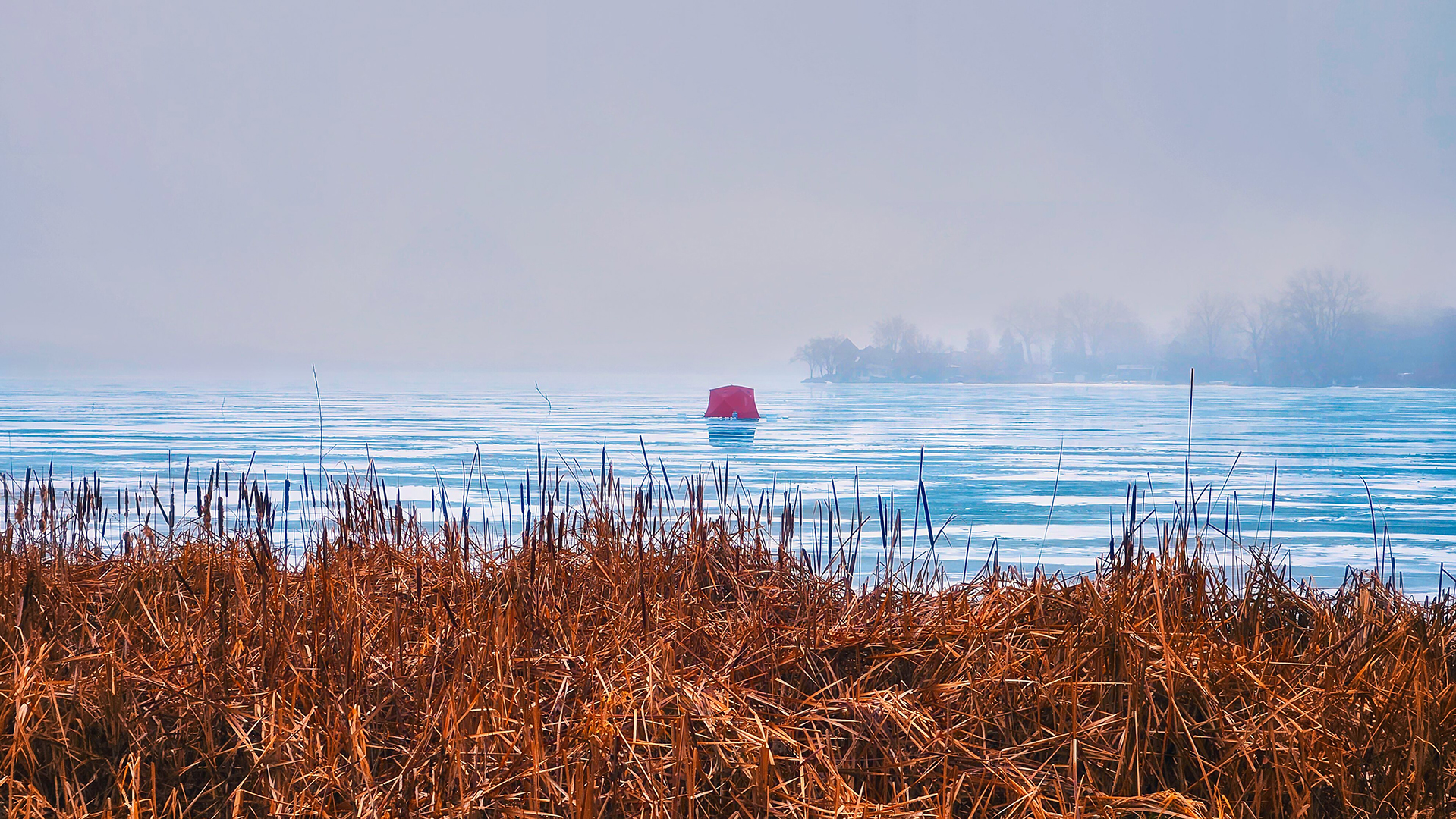 The Fog Fisher of Medicine Lake