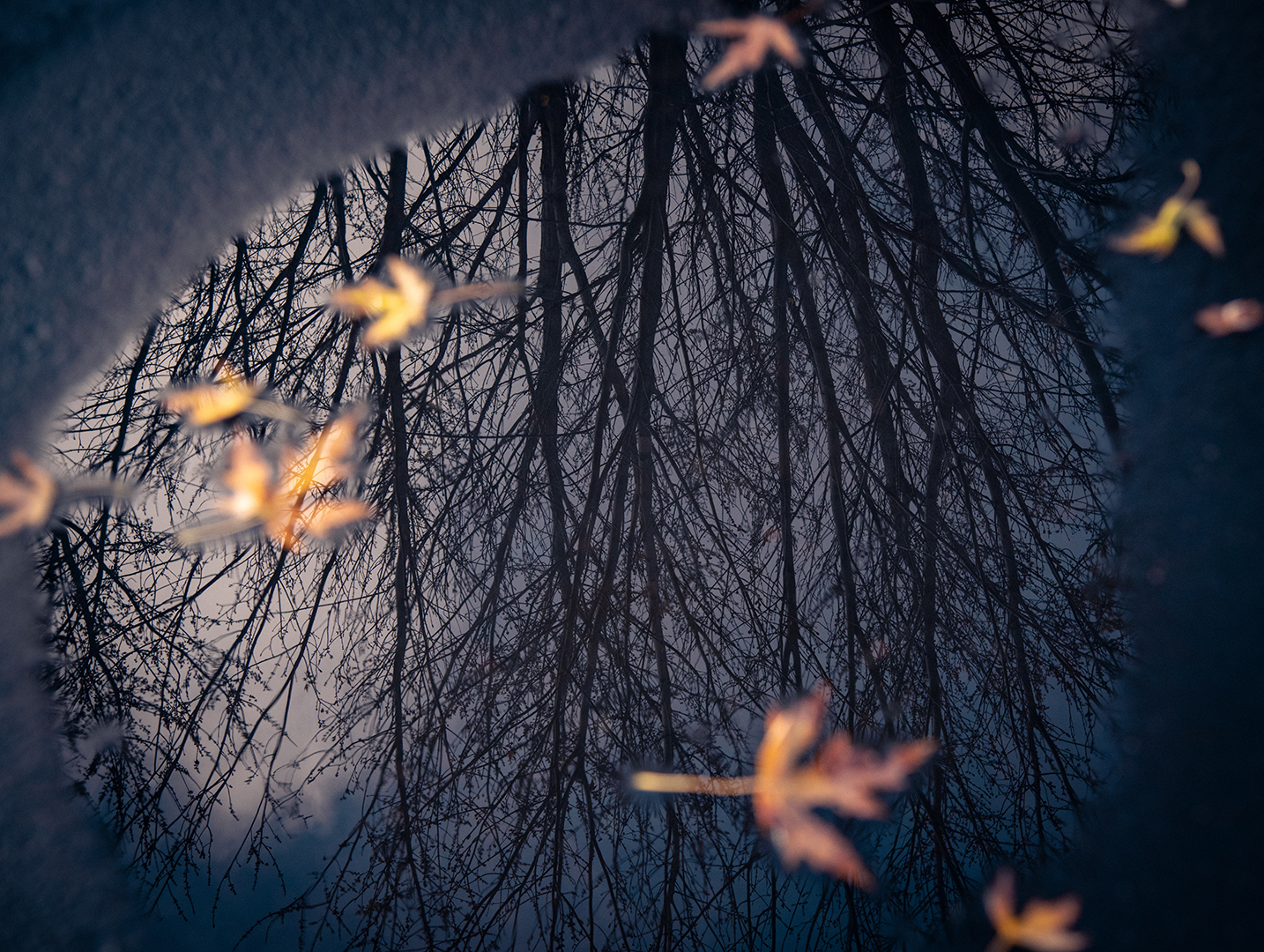 Changing of the seasons.