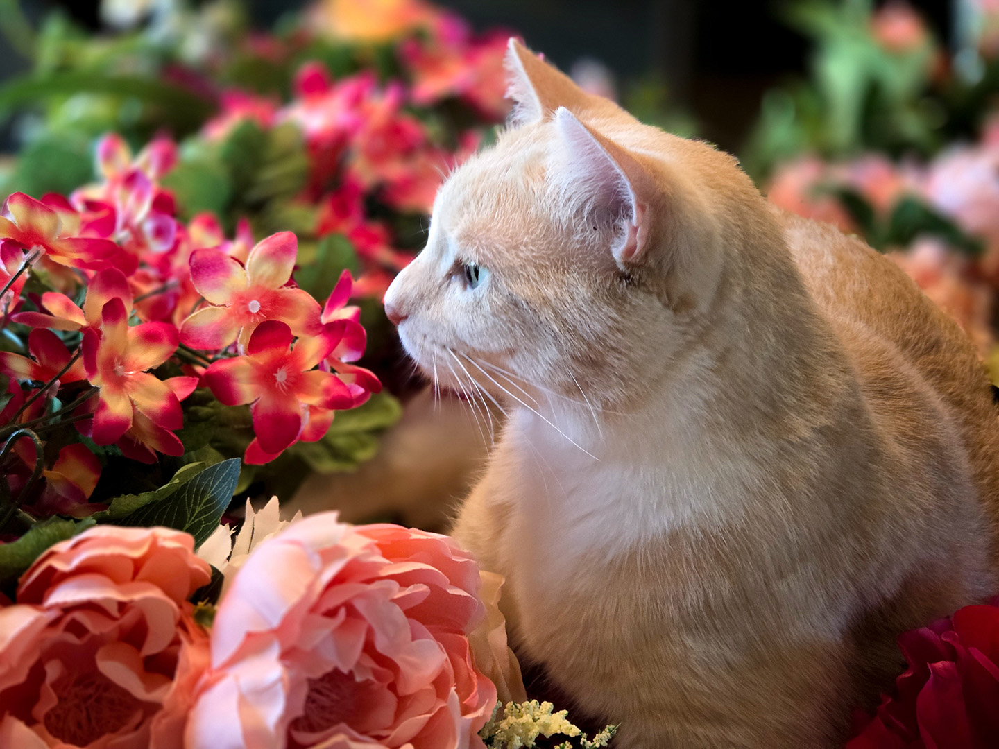 Twix Assists with Bridal Shower Prep