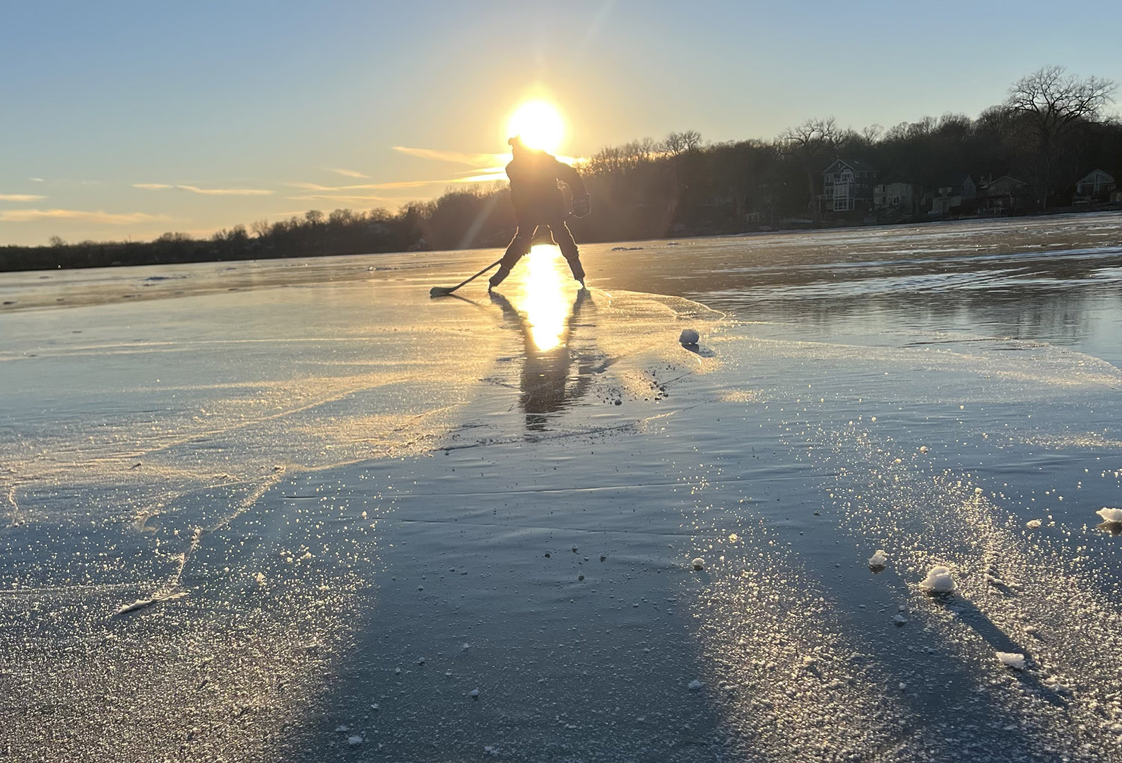 Winter Silhouette
