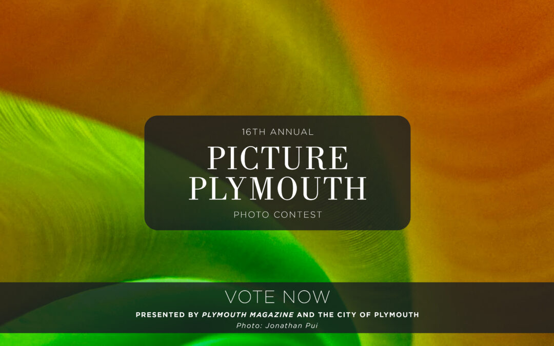 Readers’ Choice Voting for Picture Plymouth 2025