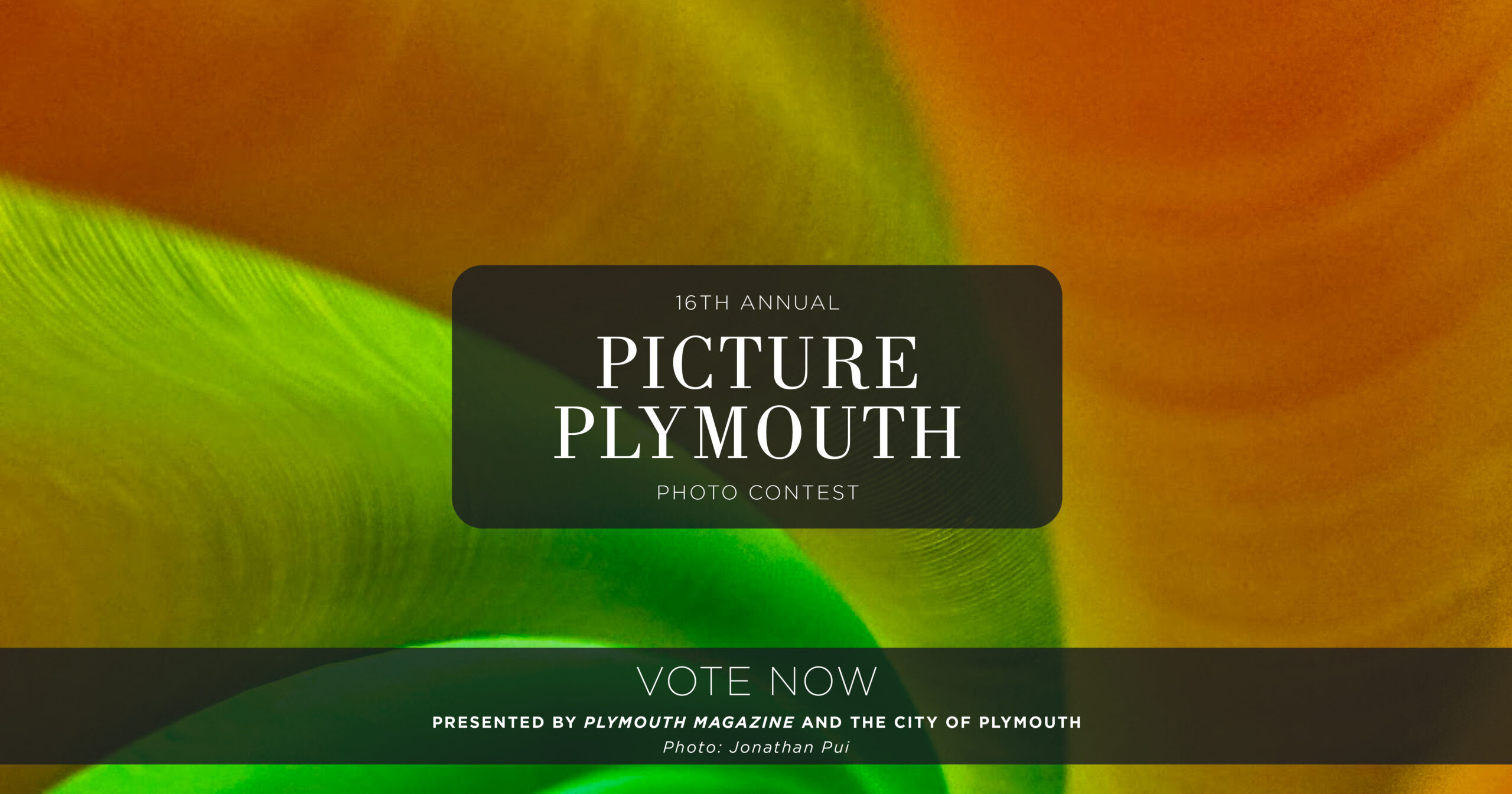 Picture Plymouth Readers' Choice Voting web banner