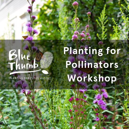 Planting for Pollinators Workshop