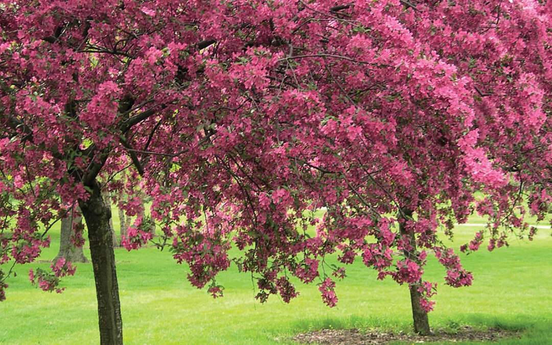 Spring Into  Planting Season