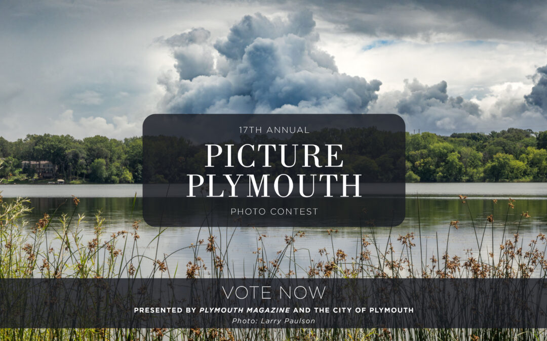 Picture Plymouth 2026 Open for Readers’ Choice Voting