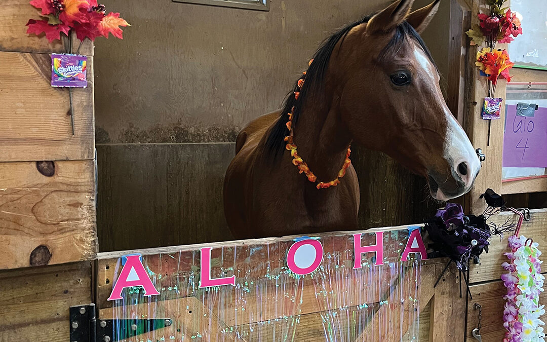 Halloween Fun Meets Inclusion at We Can Ride’s Trick or Trot