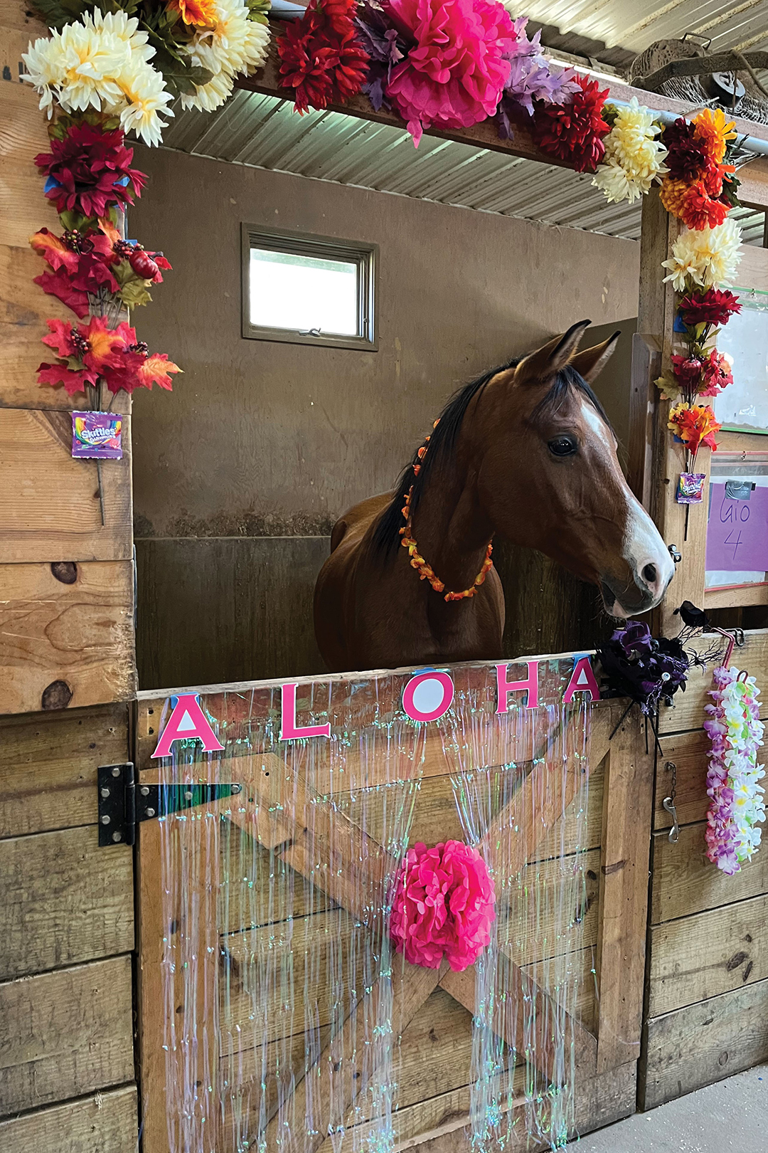Horses at the equine therapy nonprofit We Can Ride get in on the Halloween fun during Trick or Trot with themed stalls and costumes.