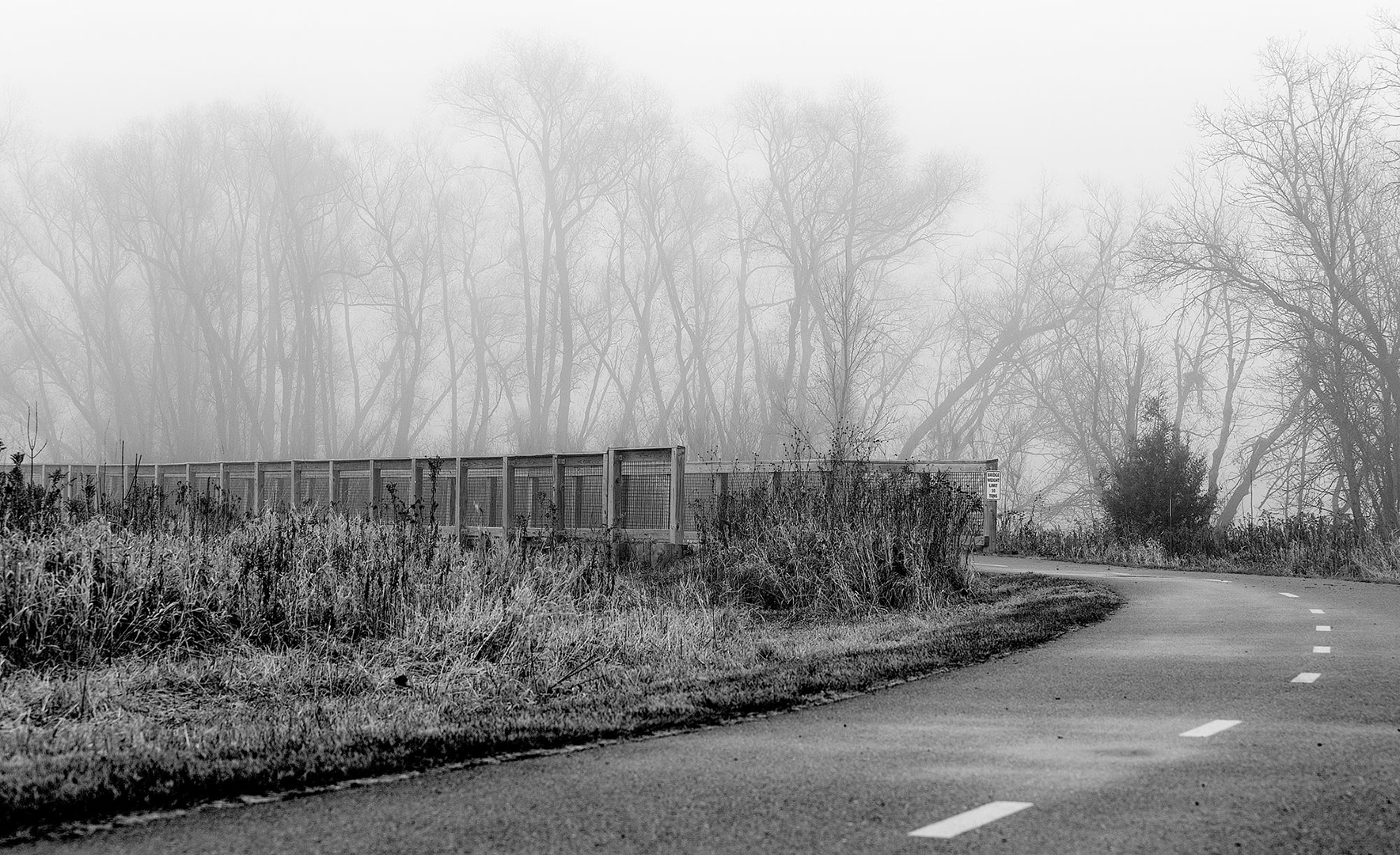 A Foggy Morning