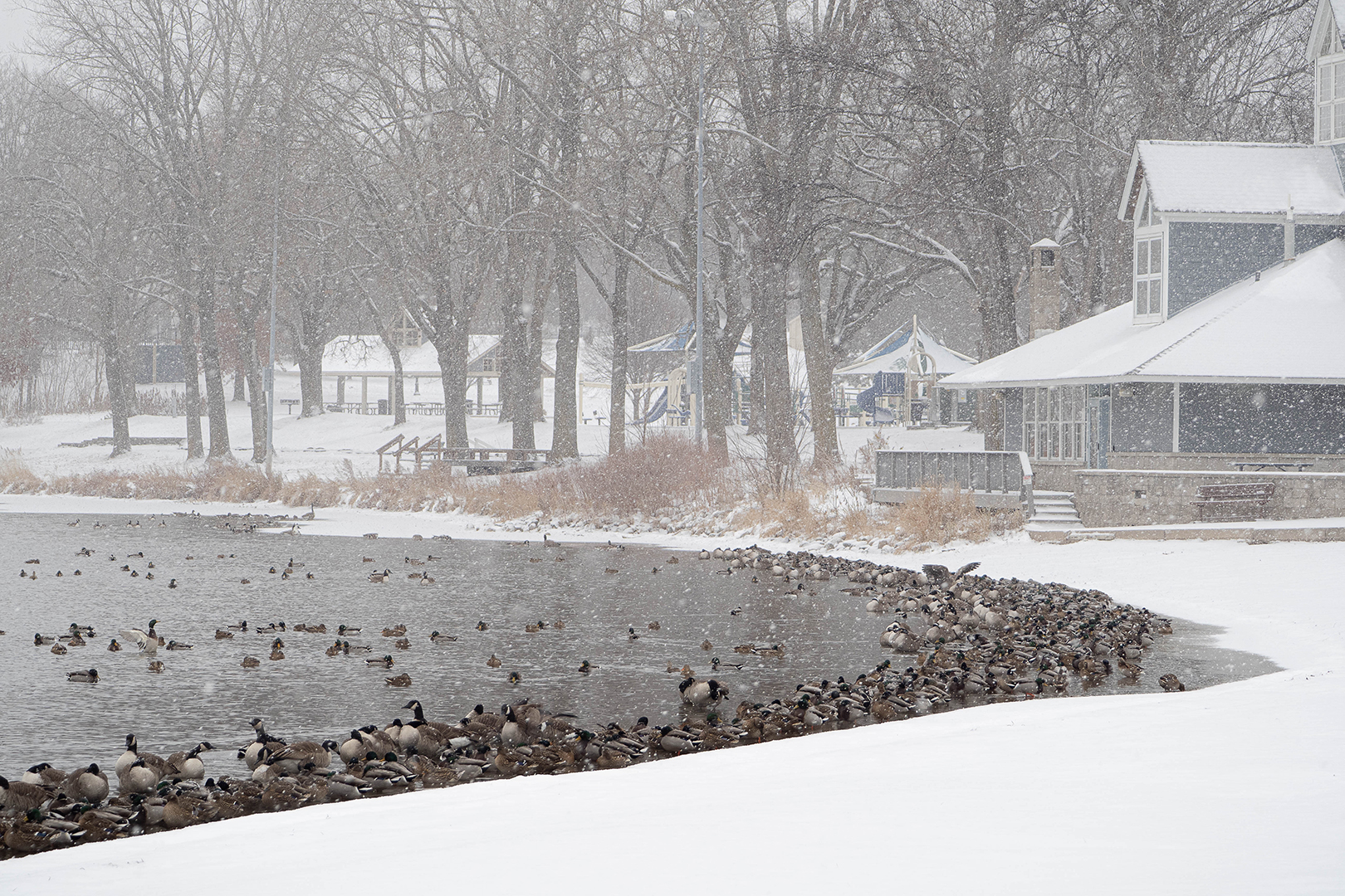 Sheltering in Place at Parkers Lake
