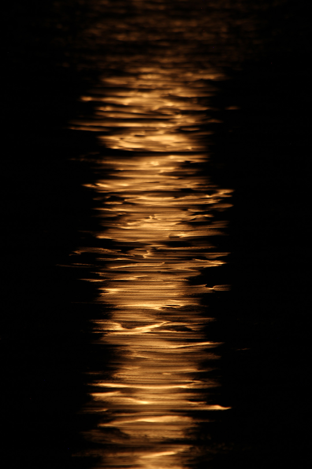 Solar Waves