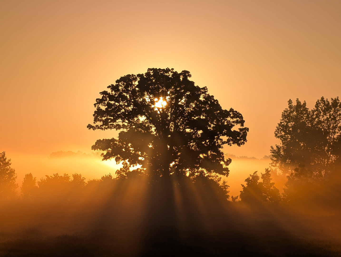 Sunfire Igniting the Fog