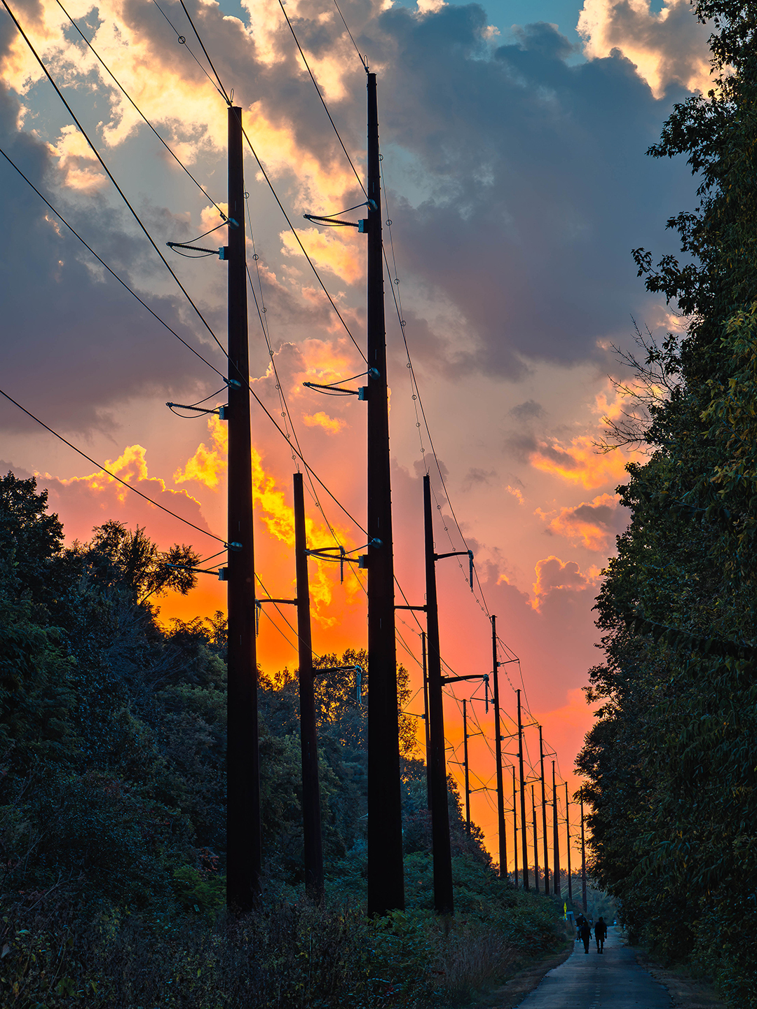 Sunset on the Luce Line Trail